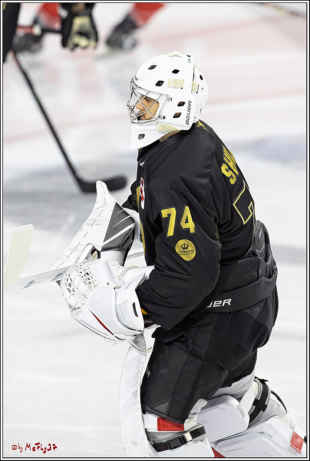 PENNY DEL;  Kölner Haie - Augsburger Panther; Köln, 20.12.2022